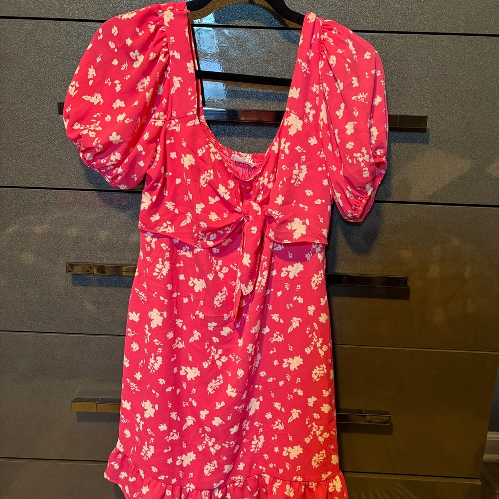 Sienna Sky Pink Floral Dress
